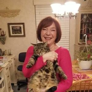 Meet your Posher, Lynn